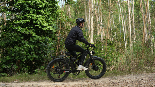 How to Choose the Right Electric Snow Bicycle