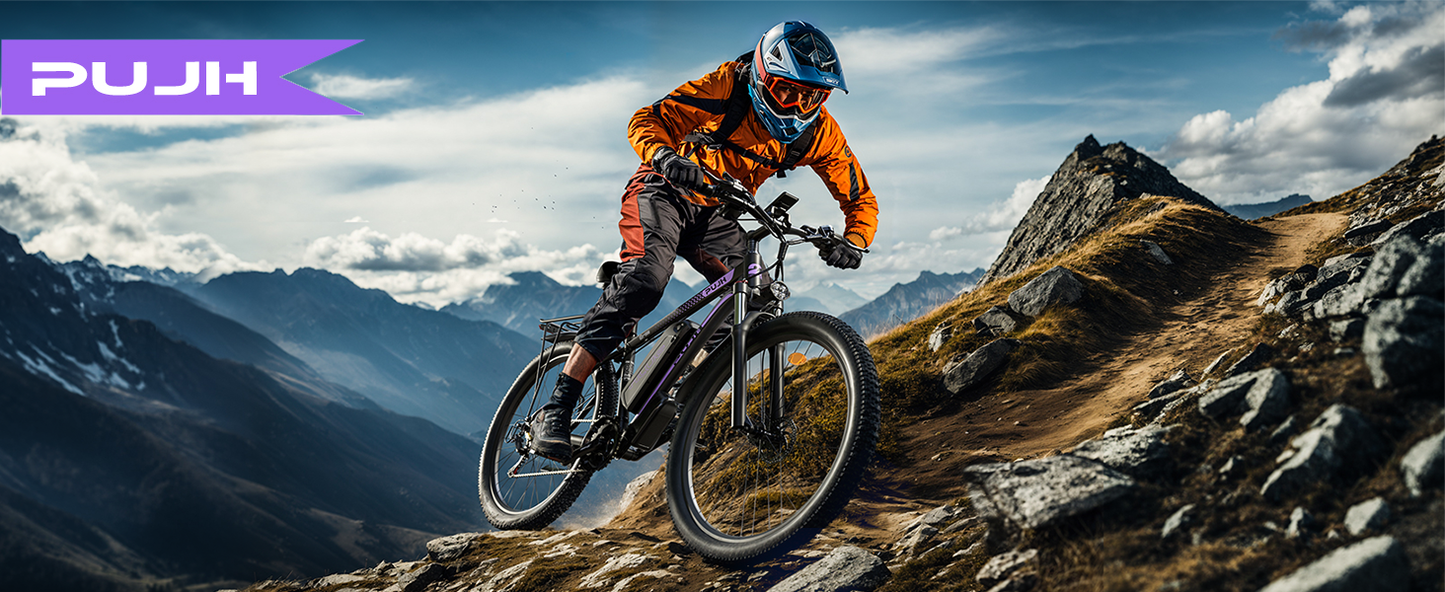 PUJH PU1 City commuter electric bike