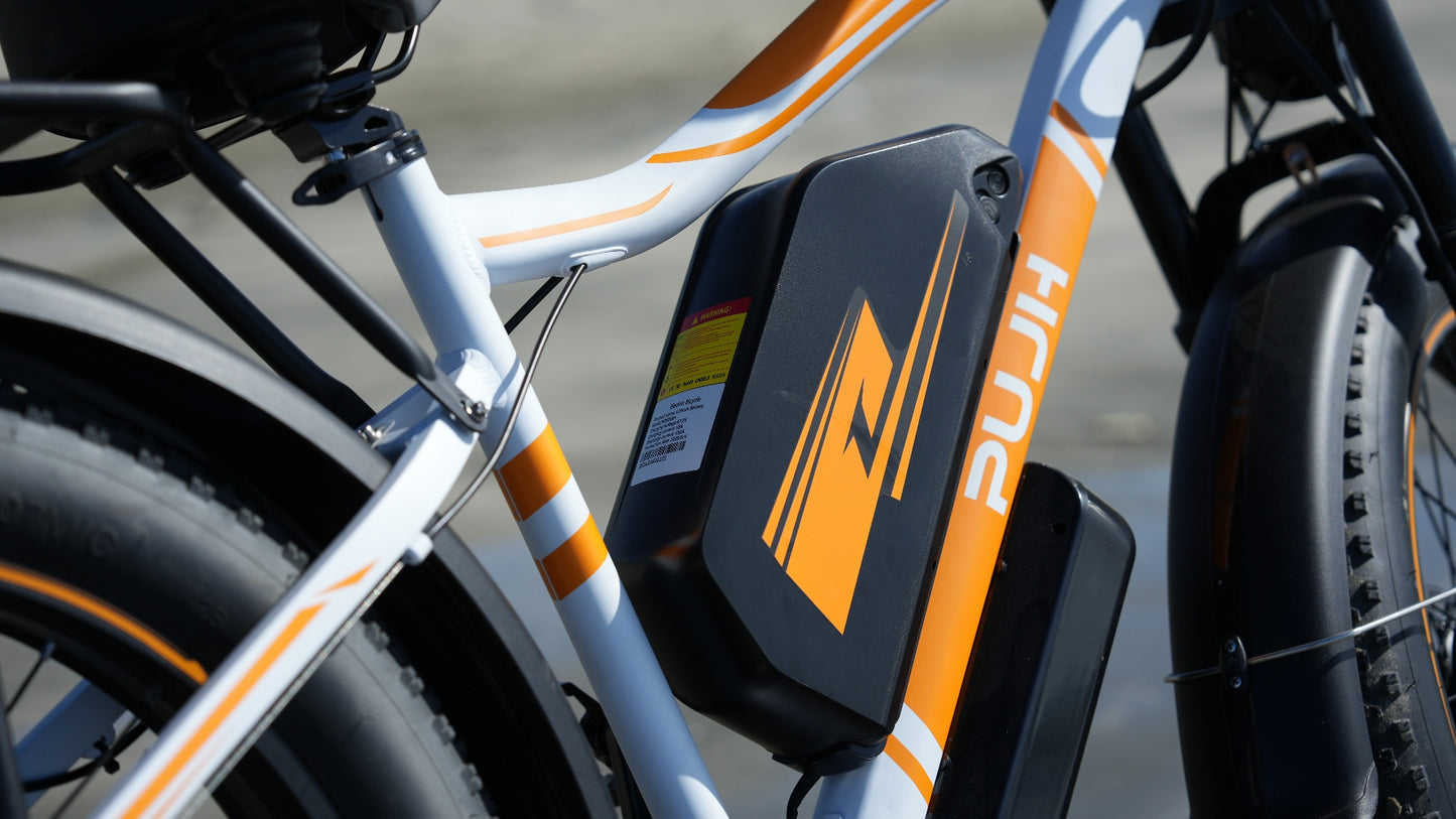 PUJH PU2-60V 20ah-24” Pro Long Range Fat Tire E-bike