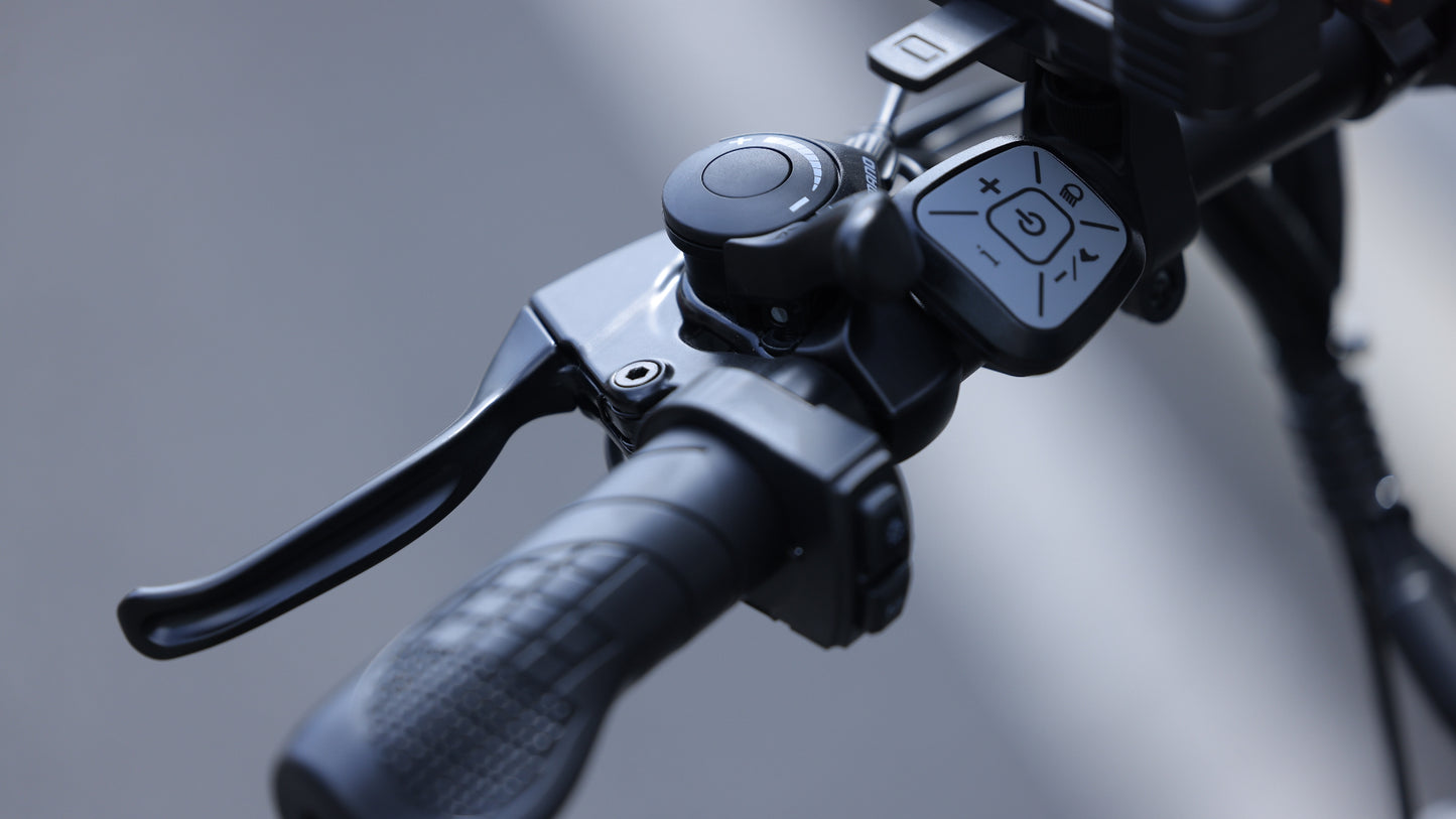PUJH PU1 City commuter electric bike