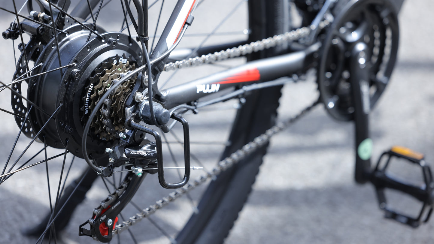 PUJH PU1 City commuter electric bike