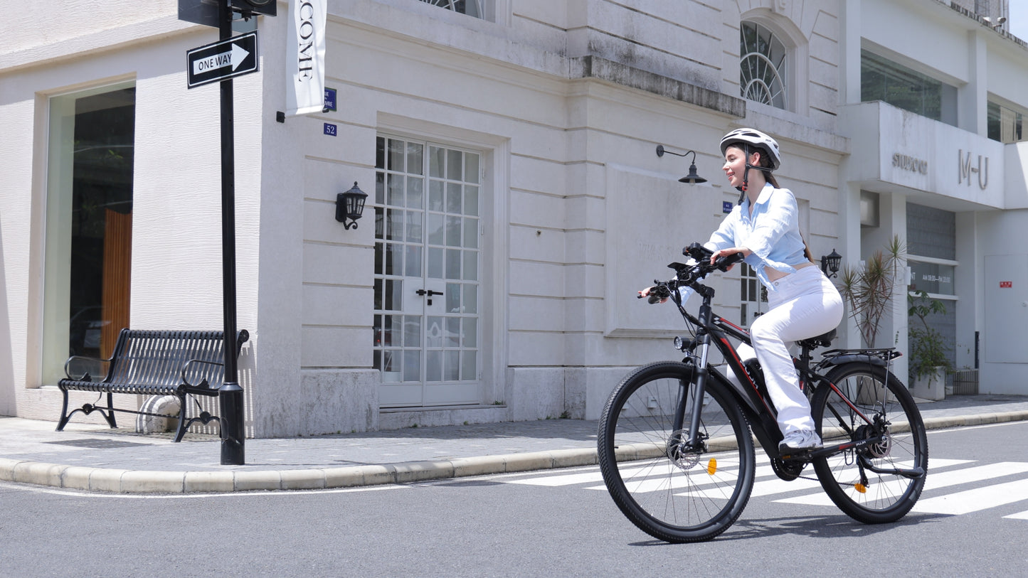 PUJH PU1 City commuter electric bike