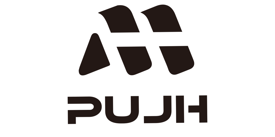 PUJH: Redefining Urban Mobility – Our Story