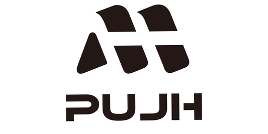 PUJH: Redefining Urban Mobility – Our Story