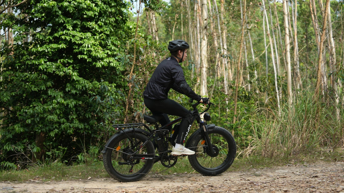 How to Choose the Right Electric Snow Bicycle
