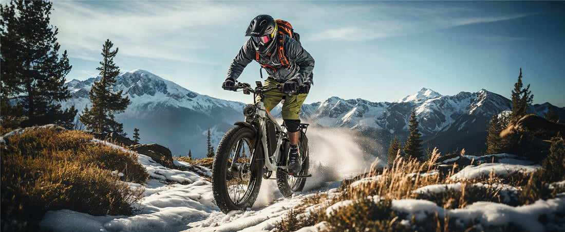 PUJH PU354 electric mountain bike lifestyle banner in outdoor landscape.