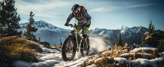 PUJH PU354 electric mountain bike lifestyle banner in outdoor landscape.