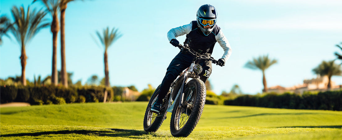 PUJH PU354 electric mountain bike is suitable for various road surfaces.