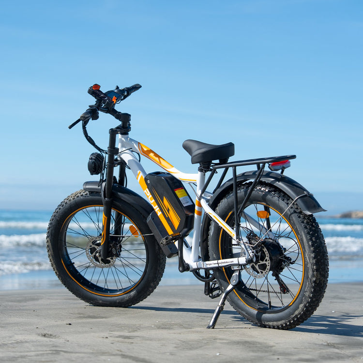Electric Snow Bike