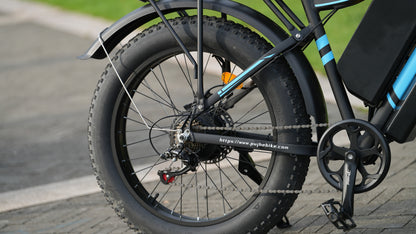 PUJH PU2-60V 25ah-24” Fat tire electric bicycle