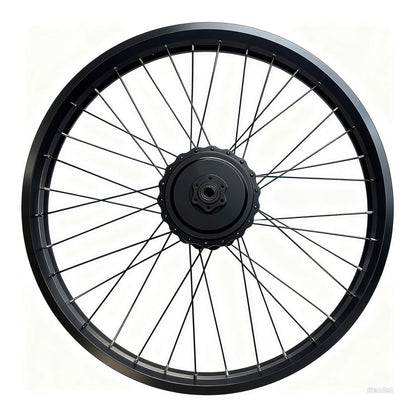 electric wheel hub for bicycle Rear Fatbike E-BikeKit Motor with front hub motor Ridstar Electric bicycle front hub